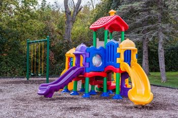 A colorful playground in a park
